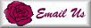 Email Us